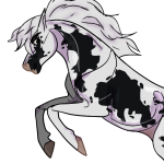 Bludragonfly's Avatar