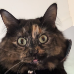 Possum-Dad Possum-Dad's Avatar