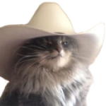 paige paige's Avatar