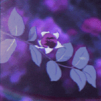 junicabre's Avatar