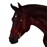 FinalMasterplan's Avatar