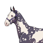 EeveeLoshies's Avatar