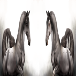 machomustang's Avatar