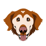 Crae's Avatar