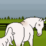 nightclowns's Avatar