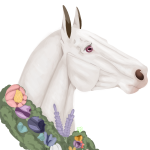 Venus's Avatar