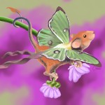 Meraki_Mouse's Avatar