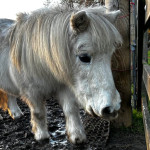 Red_the_beanxd's Avatar