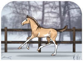 Thumbnail of 0141 Iced Calamity