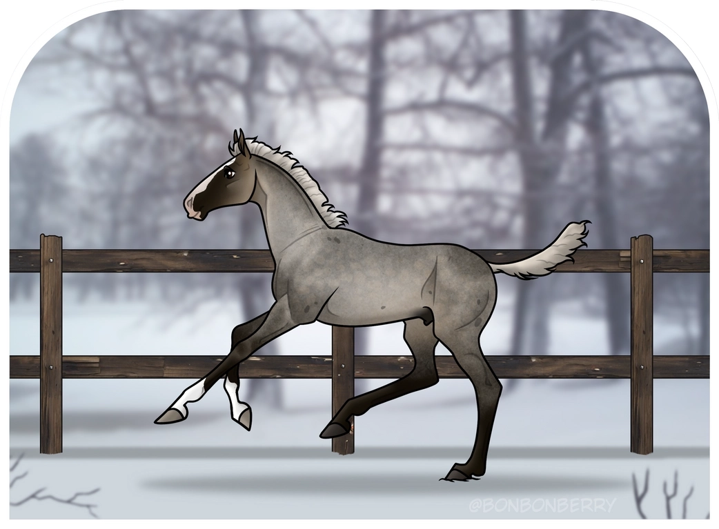 0210 RPH Northern Prince