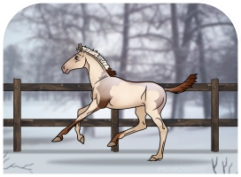 Thumbnail for 0242 CMA Rosaline
