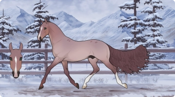 Thumbnail for 7005 WG King In Crimson