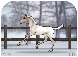 Thumbnail for 0271 Holiday Spirit