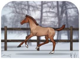 Thumbnail for 0286 Tobasco