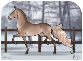 Thumbnail for 0294 Egyptian Honey