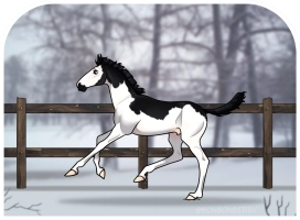 Thumbnail for 0280 SPCS Arctic Shadows