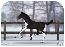 Thumbnail of 0315 RPH Unknown Beauty