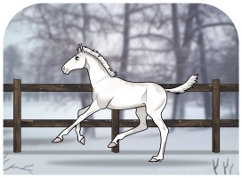 0318 ALS Evangeline Thumbnail