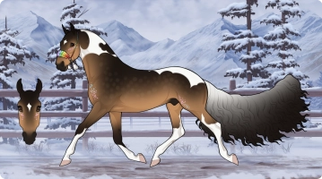 Thumbnail for 7078 Soothing Spirit