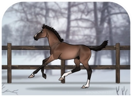 Thumbnail for 0338 SWS Ghzel