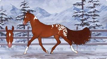 Thumbnail for 7112 JSS Wildfire