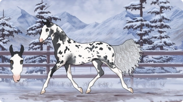 Thumbnail for 7116 Dalmatian
