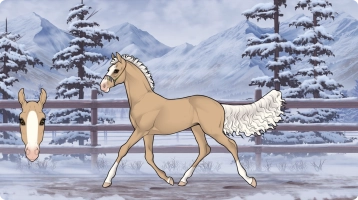 Thumbnail for 0341 BOE Desert Queen