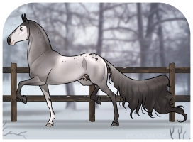 Thumbnail for 0346 Don Nobless