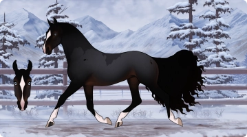 Thumbnail for 7184 Practitioner