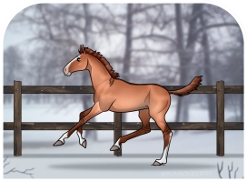 Thumbnail for 0185 Swirl Side's Blazing Embers