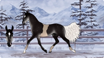 Thumbnail image for 7284 EV Stars in the Gold