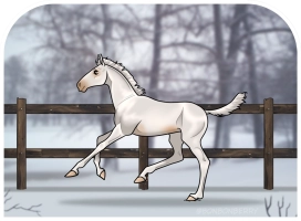 Thumbnail for 0405 SWS Gwyllana