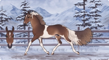 Thumbnail for 7357 BB Hrairoo