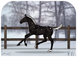 Thumbnail of 0475 ALS Queen of Night