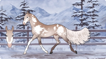 Thumbnail for 6974 LR Zephyr's Tempest