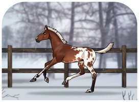 Thumbnail for 0529 SQA Toffee Bits