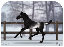 Thumbnail of 0588