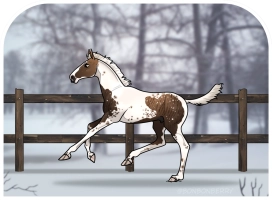 Thumbnail for 0703 Frozen Pines