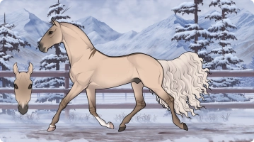 Thumbnail for 0644 New Cowboy in Town