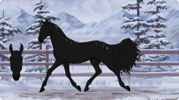 0733 SWA Black Snow Thumbnail