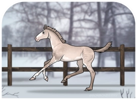 Thumbnail for 0734 SWS Yohri