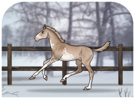 Thumbnail for 0735 SSS Moschata