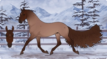 Thumbnail for 7706 PF Mazie