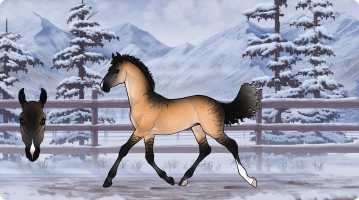 Thumbnail for 0776 JSS Kiss and Tell