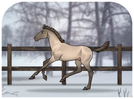 Thumbnail for 0816 SWS Snowstorm