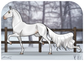 Thumbnail of 0888 SWS Guilia