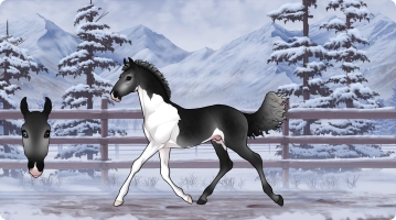 Thumbnail for 0895 JSS Mayday