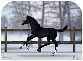 Thumbnail of 0851 Dark Intentions