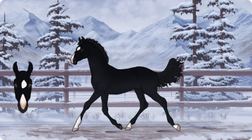 Thumbnail of 1066 SPCS Black Diamond