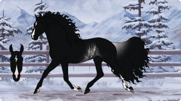 Thumbnail for 7763 My Only Star